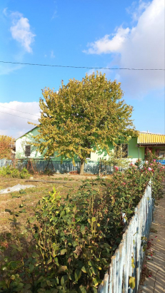 Дом в Чагане