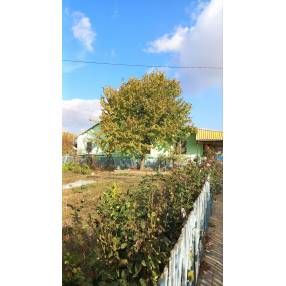 Дом в Чагане